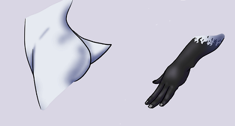 body details